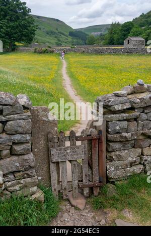 Cachez à travers un mur de pierre sèche sur un sentier à travers les prairies de fleurs sauvages de Muker, parc national de Yorkshire Dales, Royaume-Uni. Banque D'Images