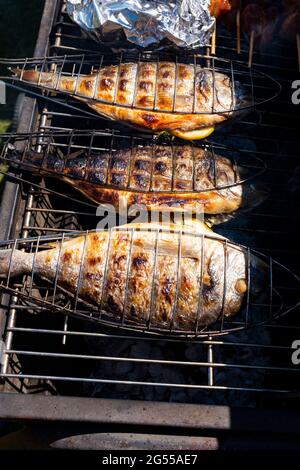 Cuisine de la dorade sur un barbecue Royaume-Uni Banque D'Images