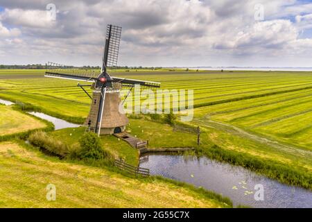 Ancien moulin à vent en bois dans les prairies agricoles vertes. Frise, pays-Bas. Banque D'Images