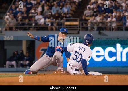 Chicago Cubs shortstop Javier Baez (9) prepares for the game against the  Colorado Rockies, June 12, 2019 in Denver. (Margaret Bowles via AP Images  Stock Photo - Alamy