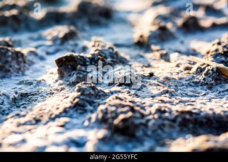 cristaux de sel et de boue thérapeutique en gros plan. Texture naturelle du sel de mer et de la boue thérapeutique à la station de balnéologie. Traitement des maladies de t Banque D'Images