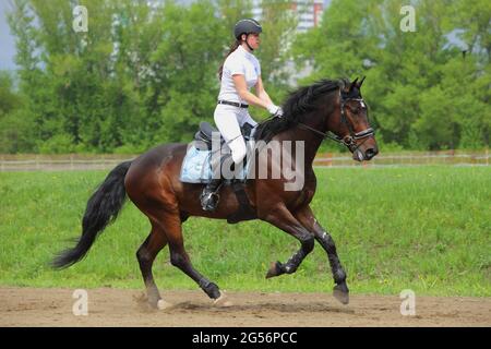 Fille modèle équestre équitation sportive dressage cheval dans les champs d'été Banque D'Images