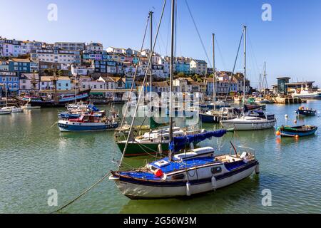 Maisons colorées donnant sur le pittoresque port de Brixham dans le sud du Devon. Banque D'Images