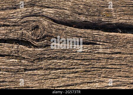Gros plan papier peint de fond simplement sans couture avec motif de structure en bois patiné en détail. Texture du bois concentrée dans toute la surface visible Banque D'Images