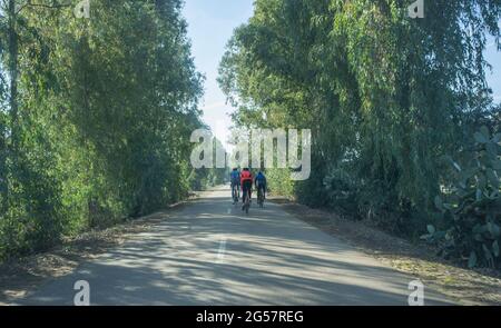 Conduite lente derrière les cyclistes sur la route boisée de campagne. Vue de l'intérieur de la voiture Banque D'Images