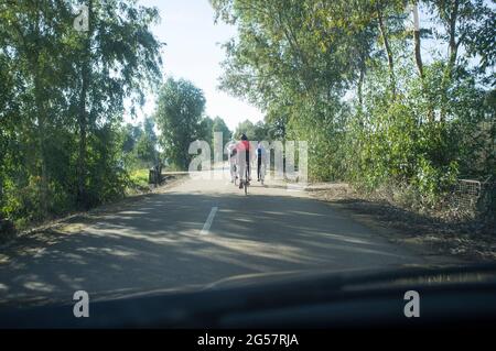 Conduite lente derrière les cyclistes sur la route boisée de campagne. Vue de l'intérieur de la voiture Banque D'Images