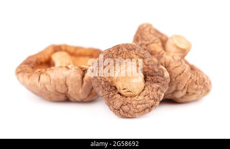 Champignons shiitake séchés, isolés sur fond blanc. Champignons de la forêt japonaise. Lentinula edodes. Gros plan. Banque D'Images