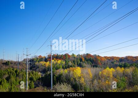 Vue en grand angle de la vallée avec la couleur des feuilles d'automne et les lignes électriques. Banque D'Images