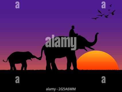 Image de silhouette éléphant noir avec éléphant mahout marche avec montagne et coucher de soleil fond soir vecteur de lumière Illustration Illustration de Vecteur