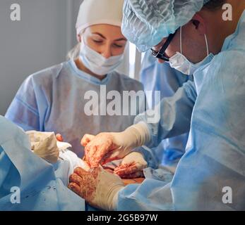 Médecins effectuant la chirurgie de l'abdominoplastie en clinique. Chirurgien plastique mâle et assistante femelle effectuant une chirurgie plastique abdominale dans la salle d'opération. Concept de médecine, tummy tuck, chirurgie esthétique Banque D'Images