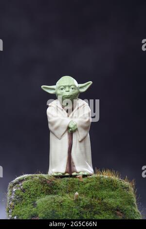Figurine Yoda et mousse. Concept d'écologie Banque D'Images