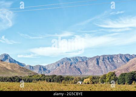 Le barrage de la rivière Berg est visible au-dessus des arbres près de Franschhoek dans la province du Cap occidental Banque D'Images