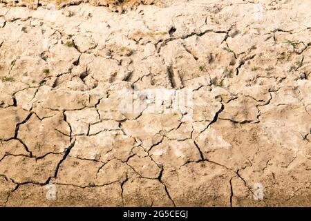 Le sol est une couche molle et granulaire de la surface de la terre Banque D'Images