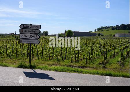 SAINT-ÉMILION, FRANCE - MAI 12 2019 : vignobles de Saint-Émilion. Banque D'Images