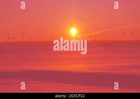 Champ d'hiver coucher de soleil sur sentier. Banque D'Images