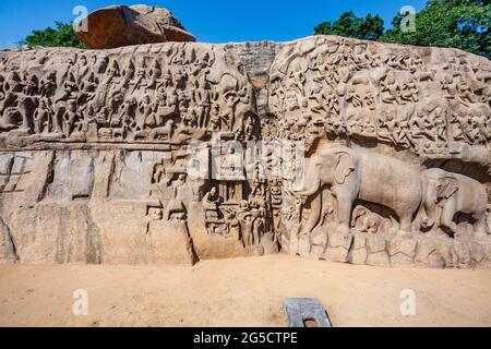 La pénitence d'Arjuna à Mamallapuram, site classé au patrimoine mondial de l'UNESCO à Tamil Nadu, Inde du Sud, Asie Banque D'Images