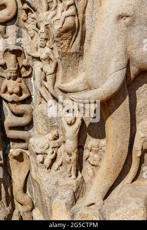 La pénitence d'Arjuna à Mamallapuram, site classé au patrimoine mondial de l'UNESCO à Tamil Nadu, Inde du Sud, Asie Banque D'Images