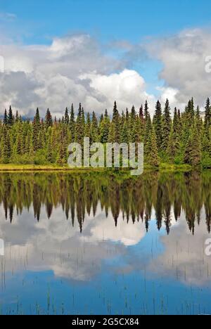 Reflet dans un lac, de l'Alaska Banque D'Images