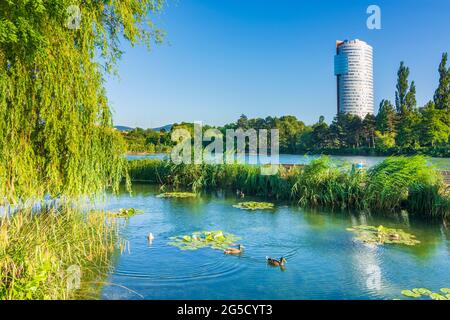 Wien, Vienne: parc Wasserpark, étang de Biologischer Bodenfilter Alte Donau (filtre biologique du sol ancien Danube), immeuble de bureaux Tour Florido en 21. F Banque D'Images