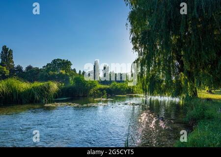 Wien, Vienne: parc Wasserpark, étang de Biologischer Bodenfilter Alte Donau (filtre biologique du sol ancien Danube) en 21. Floridsdorf, Wien, Autriche Banque D'Images