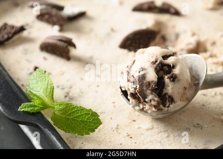 Crème glacée maison crémeuse et biscuits dans une cuillère. Gros plan. Dessert savoureux et propre sans sucre. Banque D'Images