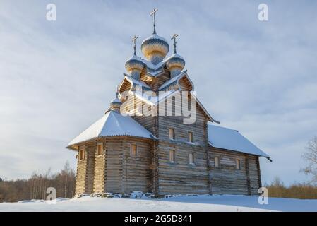 Ancienne église en bois restaurée de l'Epiphanie le jour de février gelé. Paltosa. Région de Vologda, Russie Banque D'Images