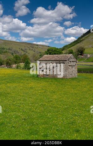 Prairies de fleurs sauvages hautes avec grange traditionnelle en pierre à Muker, Swaledale, parc national de Yorkshire Dales, Royaume-Uni. Banque D'Images