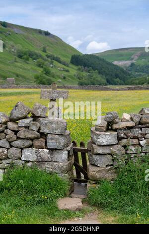 Cachez à travers un mur de pierre sèche sur un sentier à travers les prairies de fleurs sauvages de Muker, parc national de Yorkshire Dales, Royaume-Uni. Banque D'Images