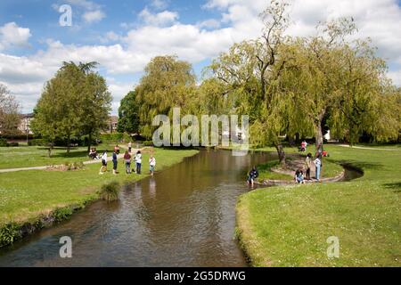 Personnes se baignant dans la rivière Avon, parc Queen Elizabeth, Salisbury, Wiltshire, Angleterre Banque D'Images