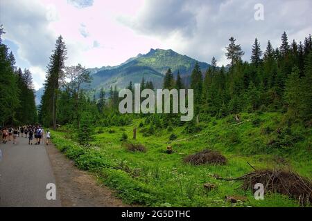 Zakopane , Pologne - 02 juin 2018: Groupe de touristes marchant sur la route du lac Morskie Oko, de la gare de Czarny et de Rysy dans les Hautes montagnes Tatra près de Zakopa Banque D'Images