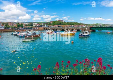 Port de Folkestone, bateaux de pêche amarrés dans le bassin de Pent, Kent, Royaume-Uni Banque D'Images
