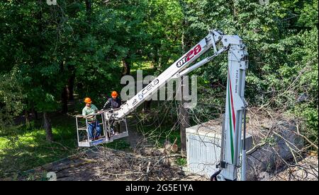 Une voiture avec un ascenseur hydraulique dans la cour d'un immeuble résidentiel. Élaguer les branches sèches, abattre les arbres endommagés, faire du roning. Le travail de c Banque D'Images