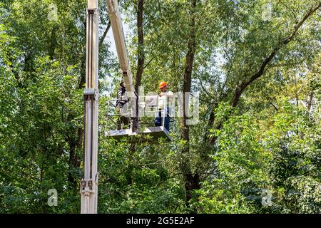 Une voiture avec un ascenseur hydraulique dans la cour d'un immeuble résidentiel. Élaguer les branches sèches, abattre les arbres endommagés, faire du roning. Le travail de c Banque D'Images