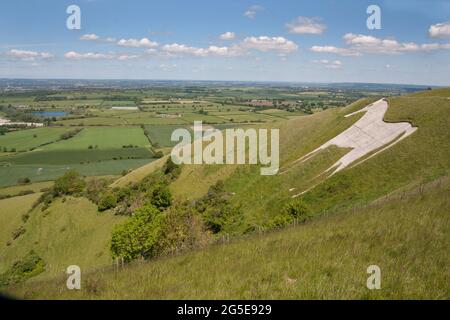 Le White Horse Iron Age Hill fort, Bratton, Westbury, Wiltshire, Angleterre Banque D'Images