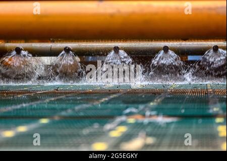 Écran vibrant, lavage du minerai avec du liquide. Le liquide est versé dans un flux de type ventilateur à partir de buses spéciales Banque D'Images
