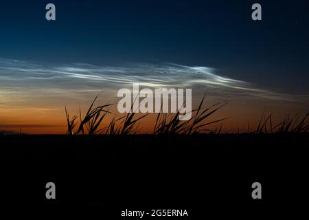 Des nuages lumineux et nocturnes (NLC) sur un paysage rural Banque D'Images