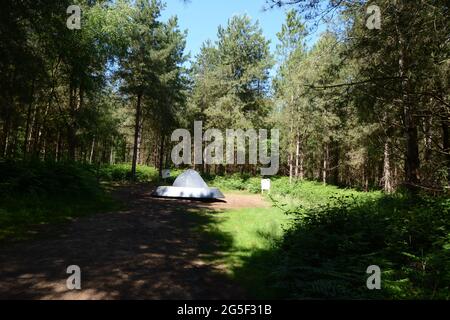 Alien Space Ship Rendlesham Forest UFO soupirant à RAF Woodbridge USAF station Suffolk Angleterre UK étrangers effrayant lumières artisanat de compensation Banque D'Images