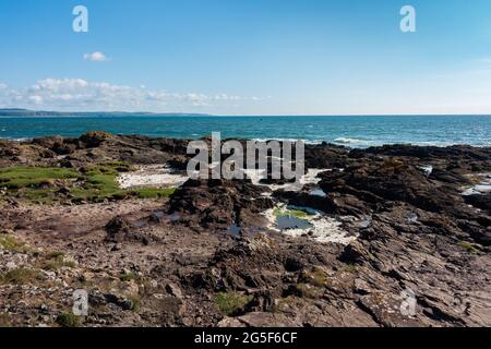 La côte rocheuse de la ville d'Arbroath, Angus, Écosse Banque D'Images