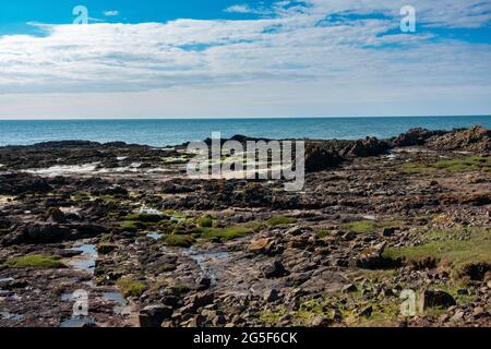 La côte rocheuse de la ville d'Arbroath, Angus, Écosse Banque D'Images