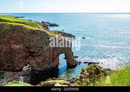 La formation inhabituelle de falaise connue sous le nom de Elephant Rock près de Montrose, en Écosse Banque D'Images