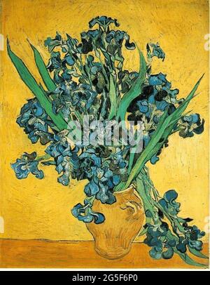 Vincent Van Gogh - Iris 1890 Banque D'Images