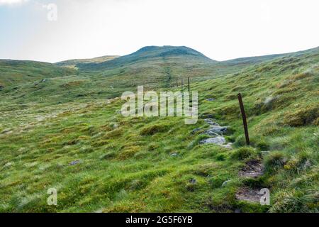 Les anciens poteaux de clôture montrent l'itinéraire vers le haut de la montagne munro de Meall Corranaich, une partie de la chaîne Ben Lawers en Écosse Banque D'Images