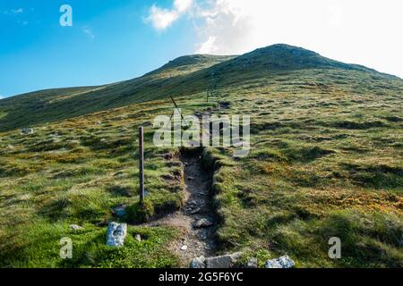 Les anciens poteaux de clôture montrent l'itinéraire vers le haut de la montagne munro de Meall Corranaich, une partie de la chaîne Ben Lawers en Écosse Banque D'Images