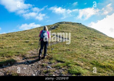 Une marchette qui se rend sur le dernier chemin de la montagne munro de Meall Corranaich, une partie de la chaîne Ben Lawers en Écosse Banque D'Images