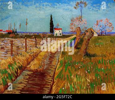 Vincent Van Gogh - chemin à travers le champ avec Willows 1888 Banque D'Images