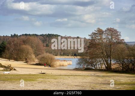 Paysages à Frensham Great Pond, Frensham Common, Waverley, Surrey, Royaume-Uni, avec un lac et une plage de sable, un endroit de beauté local et un espace de loisirs Banque D'Images