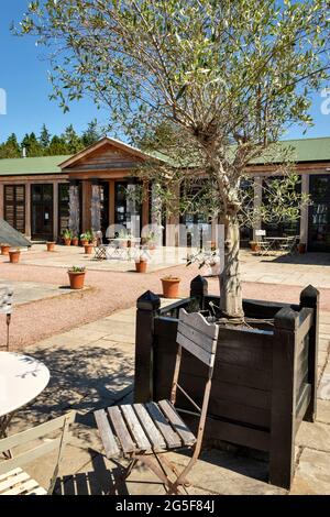 GORDON CASTLE WALLED GARDEN FOCHABERS SCOTLAND COIN SALON DEVANT LE RESTAURANT ET LE CAFÉ Banque D'Images