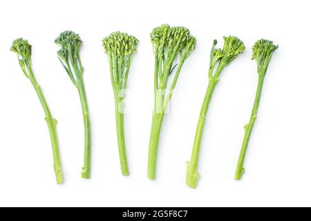 Broccolini cru à la rangée sur fond blanc Banque D'Images