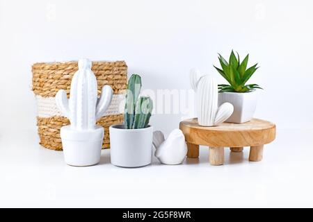 Cactus en pot, cactus en céramique et plante succulente disposés sur une étagère blanche avec décoration Banque D'Images