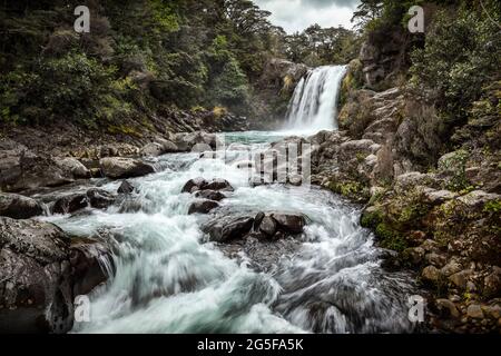 Tawhai Falls dans le parc national de Tongariro, Île du Nord, Nouvelle-Zélande Banque D'Images